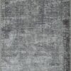 25063253_81556132