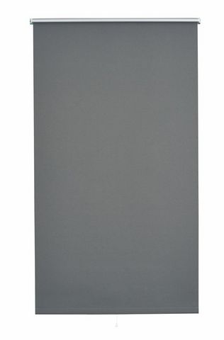 26065995_875000