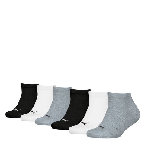 262062045_89286104