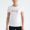 262062194_16646125