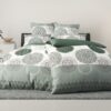 262062320_71499354